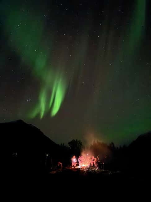 Tromsø: Northern Lights Tour with small group, minibus - Who Will Love This Tour?
