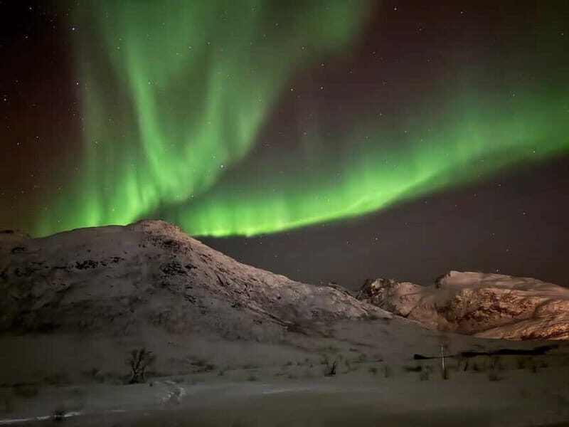 Tromsø: Northern Lights Tour with small group, minibus - The Sum Up
