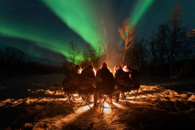 Tromsø: Northern Lights Trip With Campfire and Snacks - Experience Highlights