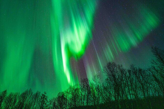 Tromsø Northern Lights with Campfire and Professional Photos - The Practical Details