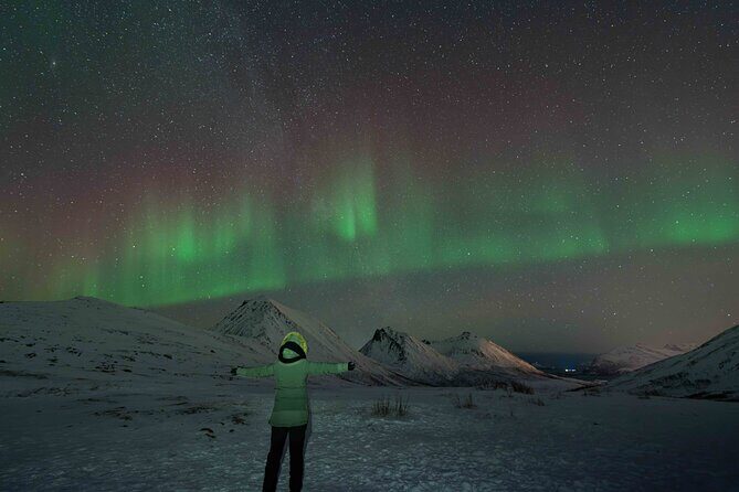 Tromsø Northern Lights with Campfire and Professional Photos - The Sum Up
