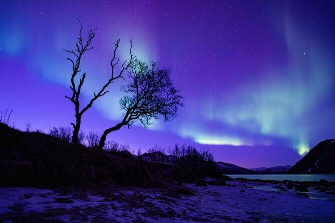 Tromsø Northern Lights with Campfire and Professional Photos - FAQ