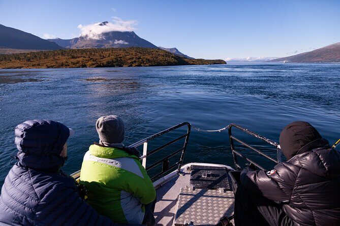 Tromsø: Polar Fjord & Fishing Cruise with Lunch included - Practical Tips