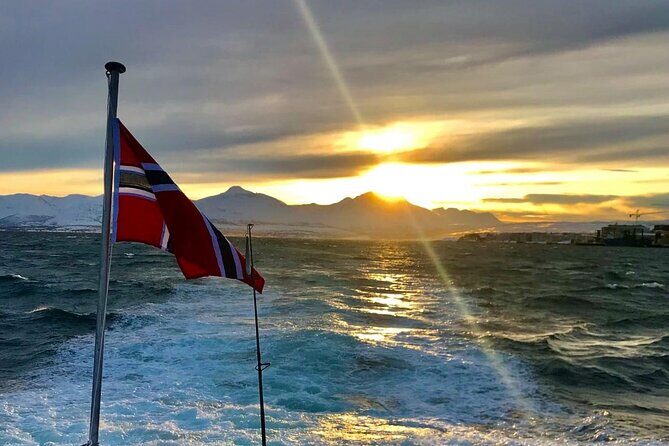 Tromsø: Polar Fjord & Fishing Cruise with Lunch included - The Sum Up