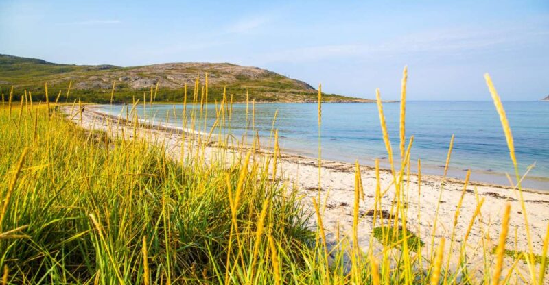 Tromsø: Private Arctic Fjords and Sommarøy Scenic Day Trip - Culinary Experience