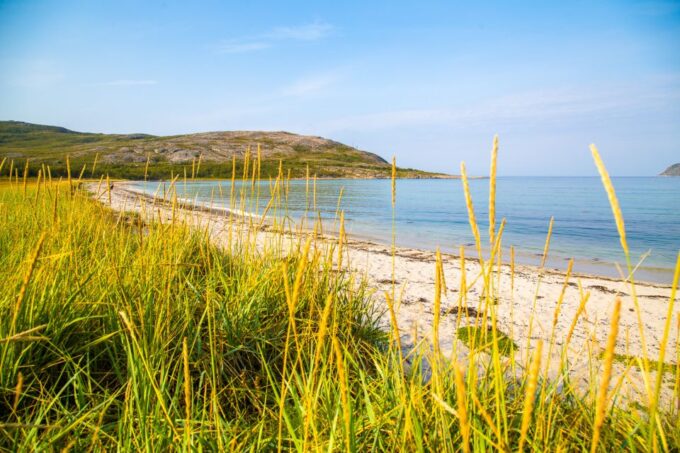 Tromsø: Private Arctic Fjords and Sommarøy Scenic Day Trip - Customer Experiences and Reviews