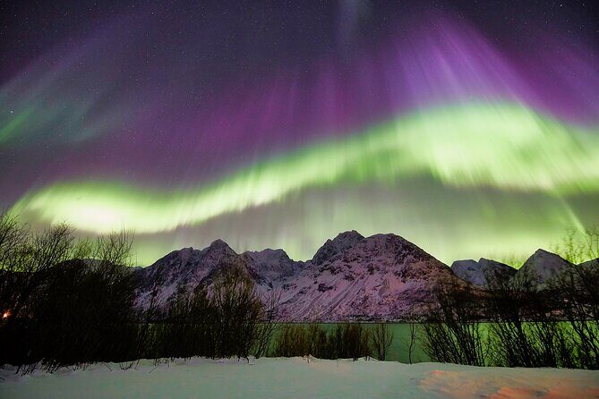 Tromso: Private Aurora Chase by Minivan - An In-Depth Look at the Aurora Chase Experience