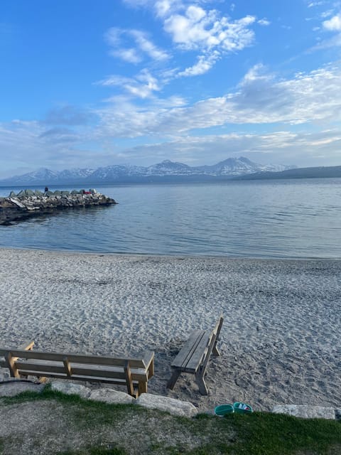 Tromsø: Private City Excursion with a Local - Key Points