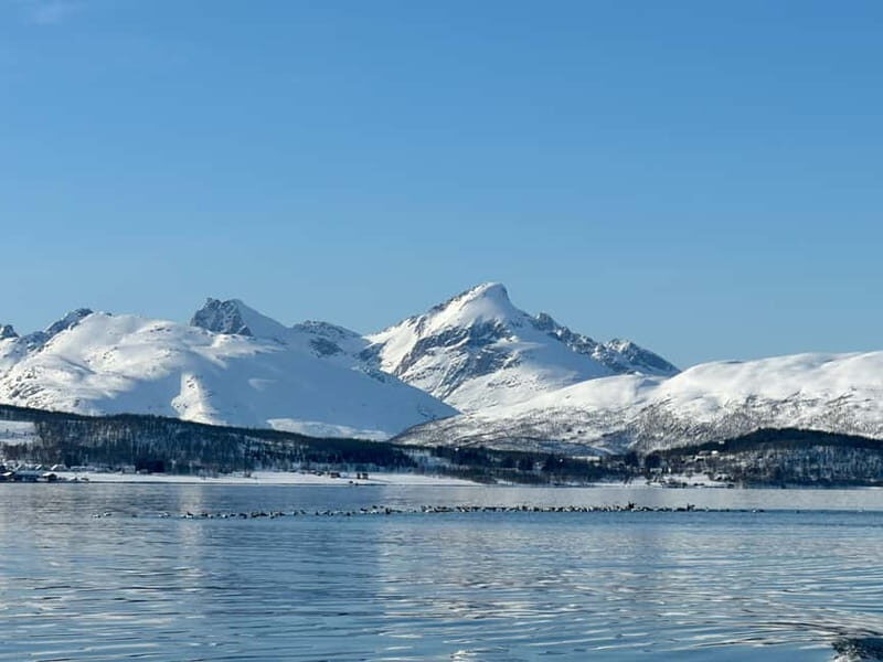 Tromsø: Private Fjord Boat Tour Around the City - Tromsø: Private Fjord Boat Tour Around the City