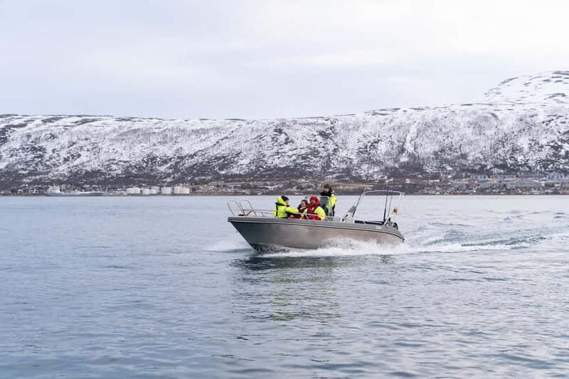 Tromsø: Private Fjord Boat Tour Around the City - An In-Depth Look at the Tromsø Fjord Boat Tour