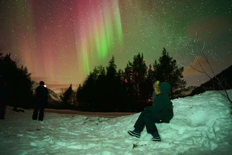 Tromsø: Private Northern Lights Tour with Pro Photographer - What’s Included and What’s Not