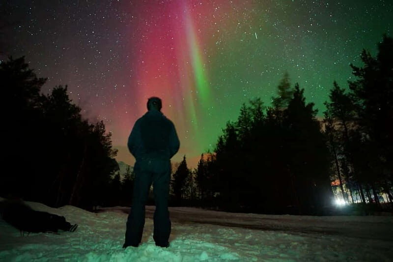 Tromsø: Private Northern Lights Tour with Pro Photographer - Frequently Asked Questions