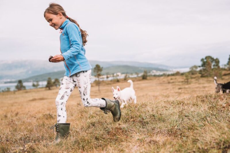 Tromsø: Puppy Training at the Husky Kennel With Lunch - Participant Age Requirements