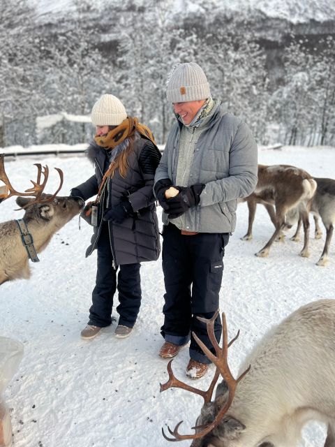 Tromsø: Reindeer Experience at a Sami Camp - An In-Depth Look at What to Expect