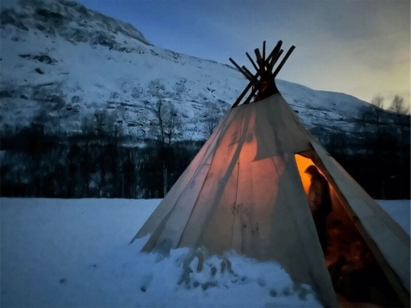 Tromsø: Reindeer Experience at a Sami Camp - The Experience From Travelers’ Perspectives