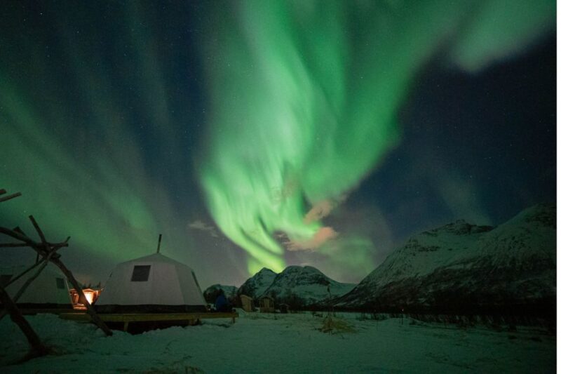 Tromsø: Reindeer Feeding & Chance of Northern Lights Viewing - Good To Know