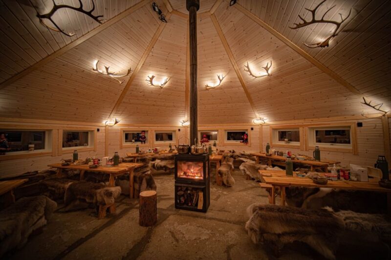 Tromsø: Reindeer Feeding & Chance of Northern Lights Viewing - Itinerary and Activities