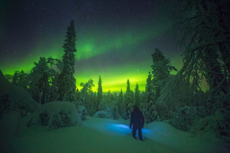 Tromsø: Reindeer Sled, Dinner, and Northern Lights Day Trip - Participant Information