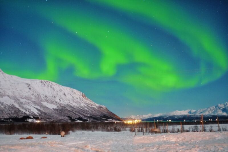 Tromso: Reindeer Sledding With Chance to See Northern Lights - Important Information