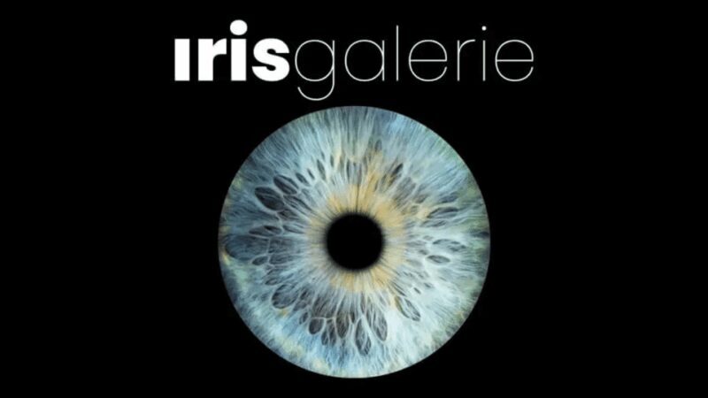 Tromsø: Reveal Your Eye Experience at the Iris Galerie - FAQs