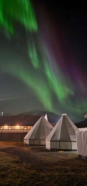 Tromsø: Sami Culture & Joik Experience with Lunch - Reviews and Authentic Voices