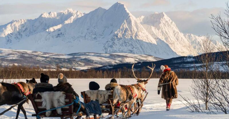 Tromsø: Sami Reindeer Sledding and Sami Cultural Tour - Highlights of the Experience