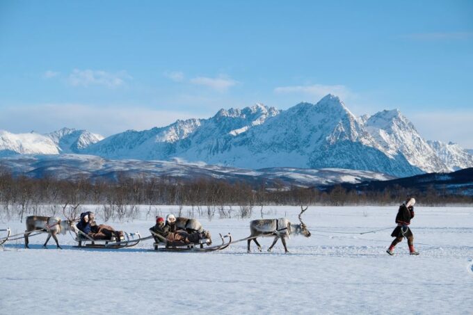 Tromsø: Sami Reindeer Sledding and Sami Cultural Tour - Booking and Cancellation Details