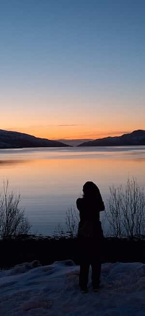 Tromsø: Scenic Fjords & Islands Roadtrip with guide & snacks - The Sum Up