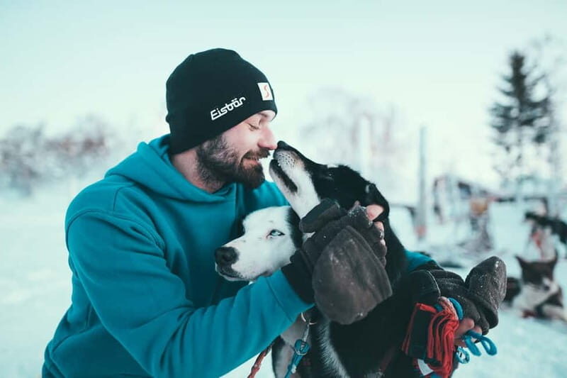 Tromsø: Self-Drive Husky Dog Sledding Adventure - Key Points