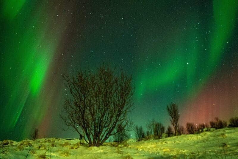 Tromsø: Small-Group Adventurous Northern Lights Hunt - Who Would Love This Tour?