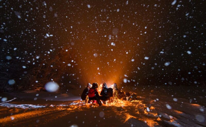 Tromsø: Small Group Aurora Hunt Tour With Citizen Science - Customer Experience