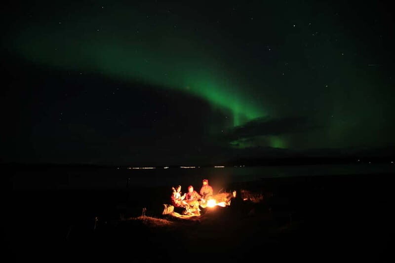 Tromsø: Small Group Northern Lights Hunt - Key Points