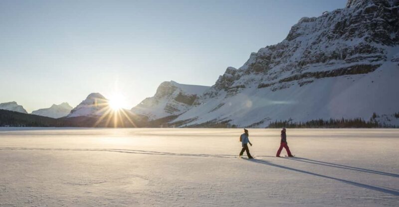Tromsø: Snowshoeing in Scenic Landscape - Good To Know