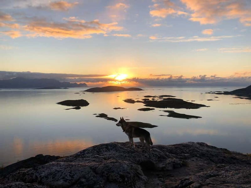 Tromsø: Sommarøy Islands Midnight Sun Tour - Final Thoughts  