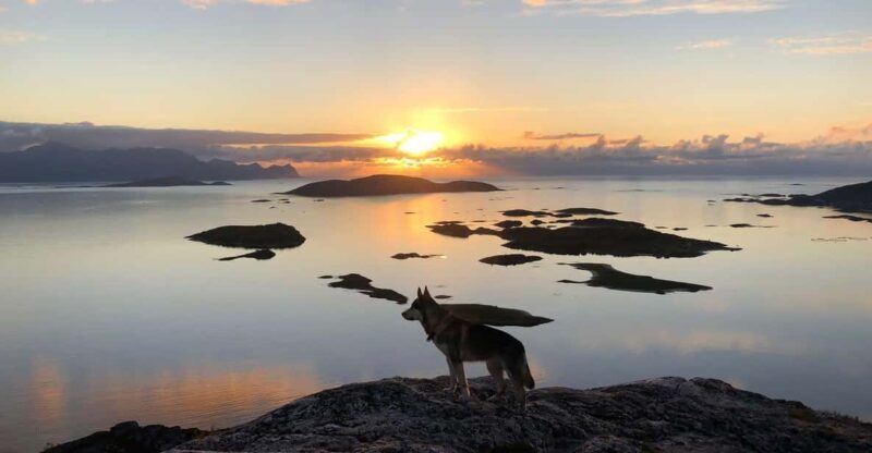 Tromsø: Sommarøy Islands Midnight Sun Tour - Authenticity and Value
