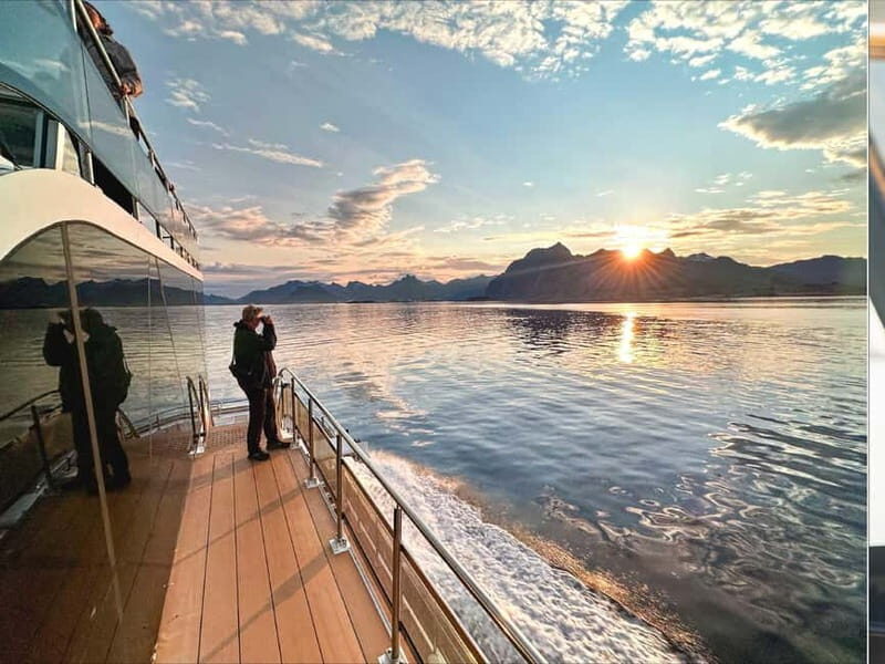 Tromsø: Summer Arctic Light Cruise with a Guide - The Sum Up