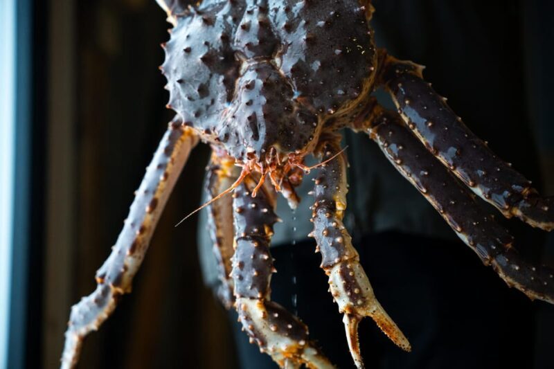 Tromsø: Tasty King Crab Adventure - Valuing Your Money