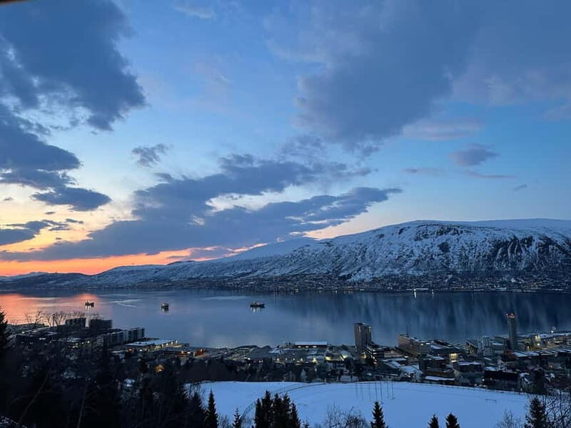 Tromsø: The View Panoramic Scenery and Local Delights - What to Expect from This Scenic Tour