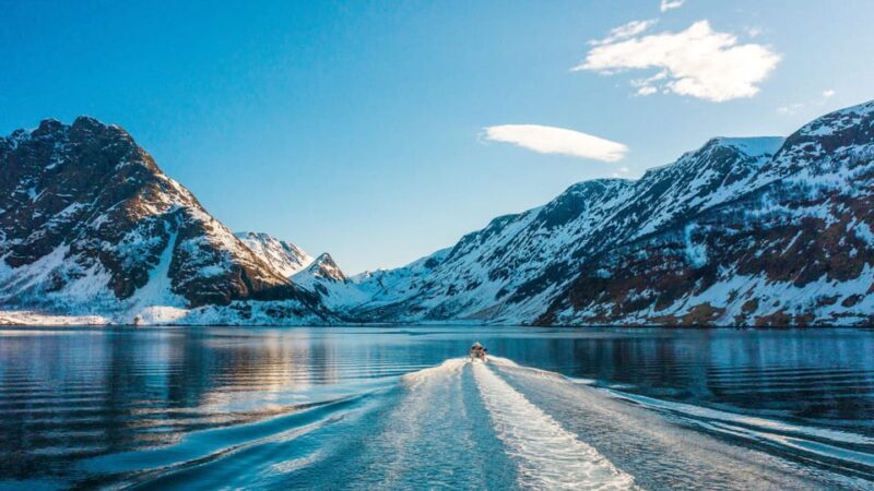 Tromsø Whale Safari with MS Keiser Wilhelm - Final Thoughts