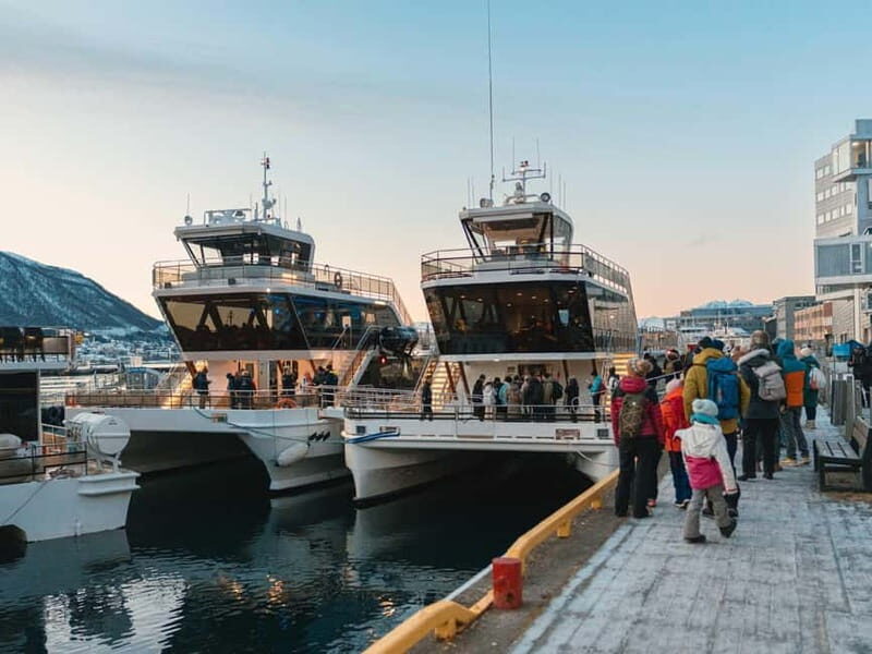 Tromsø: Whale Watching Tour by Hybrid-Electric Boat - Who Should Consider This Tour?