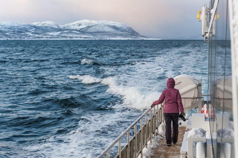 Tromsø: Whale Watching Tour by Hybrid-Electric Catamaran - Good To Know