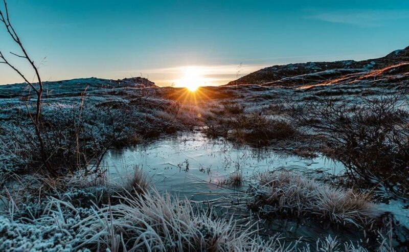 Tromsø: Winter Fjord Road Trip with Citizen Science - The Culinary Experience: A Taste of Norway