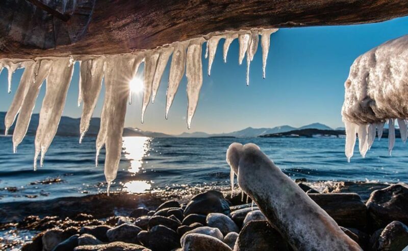 Tromsø: Winter Fjord Road Trip with Citizen Science - Reviewed Positives and Opportunities for Improvement