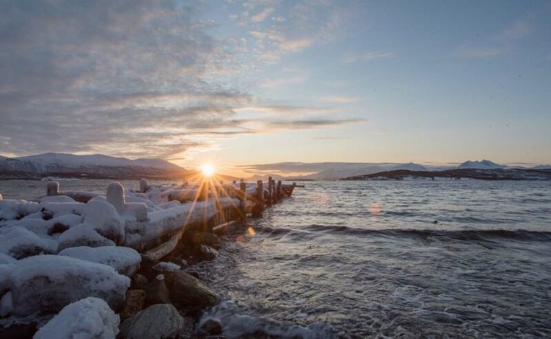 Tromsø: Winter Fjord Road Trip with Citizen Science - Frequently Asked Questions