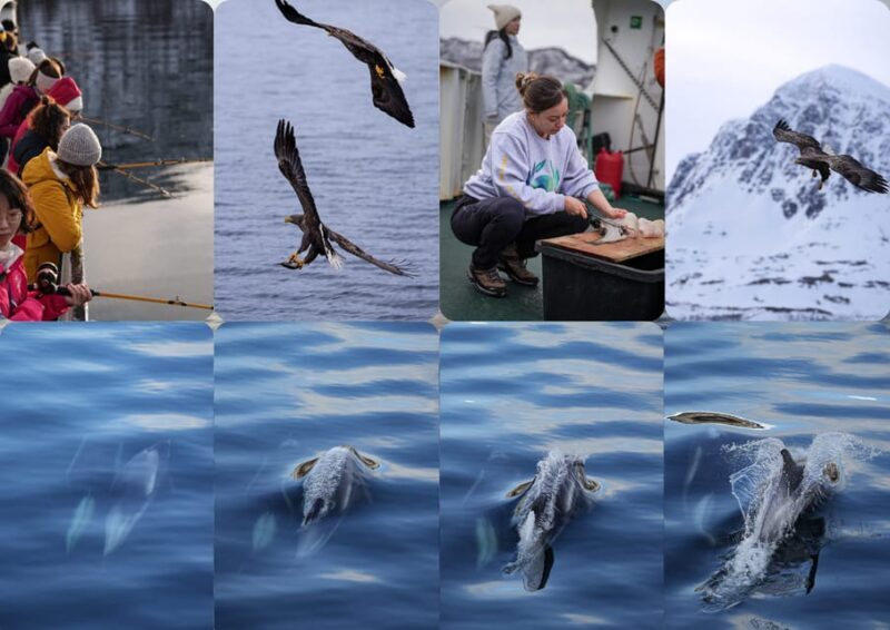 Tromsøs Top-Rated Fjord & Fishing Cruise  All-Inclusive - An Honest Look at Tromsø’s Fjord & Fishing Cruise