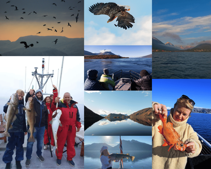 Tromsøs Top-Rated Fjord & Fishing Cruise  All-Inclusive - Final Thoughts
