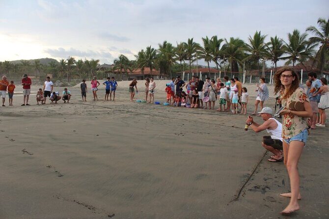 Troncones, Manzanillo Bay and Majahua Beach Tour - An In-Depth Look at the Tour