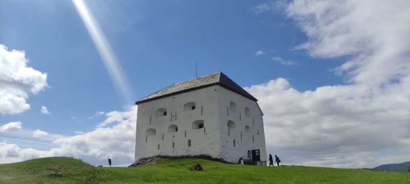 Trondheim: Audio Guide Panorama Bustour - Who Is This Tour Best For?