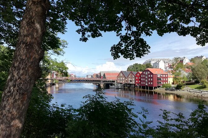 Trondheim: Discover the city of kings with a local guide - Practical Details and Value