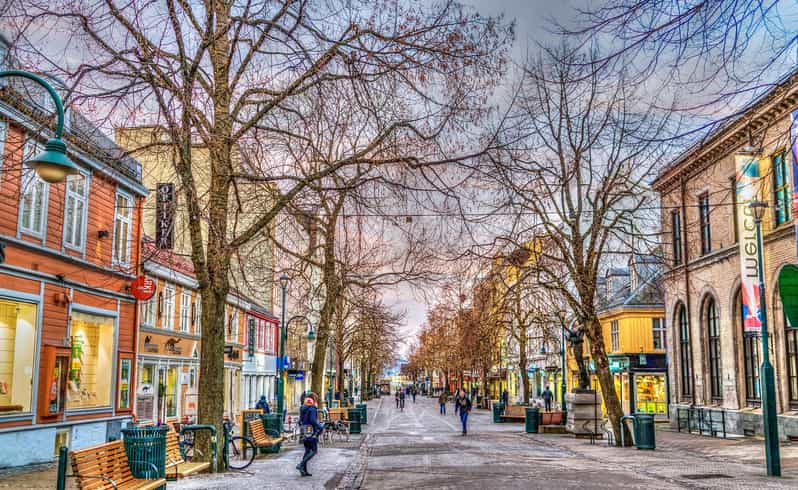 Trondheim Private Guided Walking Tour - Exploring Trondheims Rich History